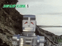 Girl Summer GIF by lacapi.tv