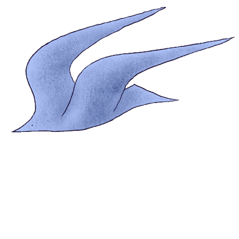 tipitinay giphyupload animal bird flying Sticker