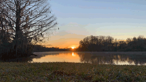 Sunrise Dawn GIF by University of Florida