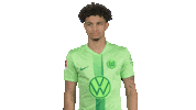 Football Love Sticker by VfL Wolfsburg