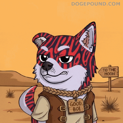To The Moon Dog GIF by Doge Pound