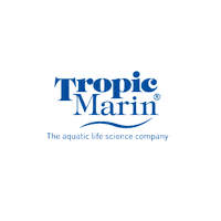 Sea Fish Sticker by Tropic Marin