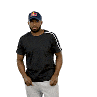 stanley cup hockey Sticker by Red Bull