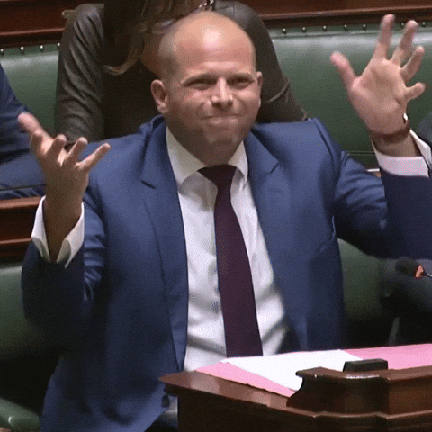 de_nva giphyupload theo twijfel mwa GIF