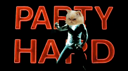 party cat GIF