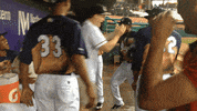 minor league baseball GIF by Kane County Cougars