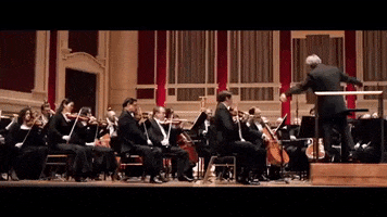 pittsburgh pennsylvania GIF