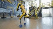 Robot Spot GIF by BostonDynamics