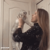 GIF by Demic