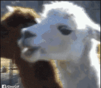 GIF by Demic