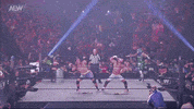 Celebrate Pro Wrestling GIF by ALL ELITE WRESTLING
