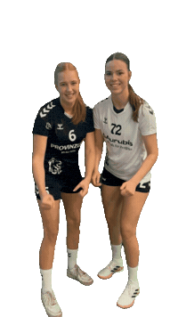 Lsv Sticker by Luener SV Handball