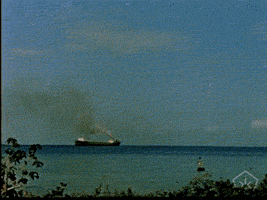 open knowledge vintage GIF by Okkult Motion Pictures