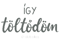 Lelektoltes lelektoltes Sticker