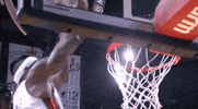 lebron james GIF