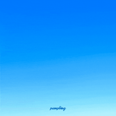 GIF by Pampling