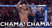 Alex Pereira Sport GIF by UFC
