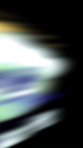 ParliniLand giphyupload thelinis parliniland parlinilandapp GIF