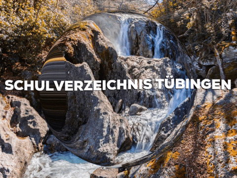 School Enjoy GIF by PrivatschulenPORTAL.de