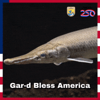 Bless White House GIF by U.S. Fish and Wildlife Service