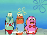 season 6 GIF by SpongeBob SquarePants