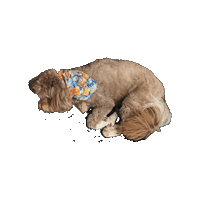 Pokemon Sleeping Sticker by Geekster Pets