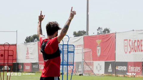 Celebrate Hands Up GIF by Sport Lisboa e Benfica