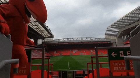 Lfc Anfield GIF by Liverpool FC