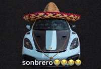 Porsche Rs GIF