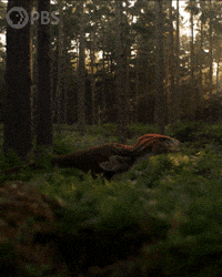 Walking With Dinosaurs Dinosaur GIF by PBS