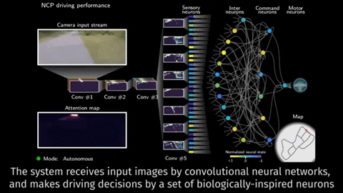 csailmitedu giphygifmaker GIF