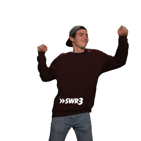 Happy Dance Sticker by SWR3