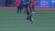 Fielding Blue Jays GIF by Toronto Blue Jays