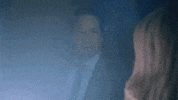 x files fox GIF