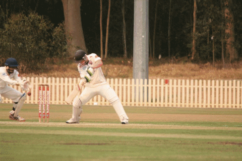 UTS_NSDCC giphygifmaker GIF