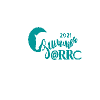 Summer Horse Sticker by RRC