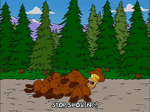 homer simpson episode 13 GIF