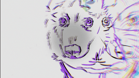 CRABUB giphyupload dog trippy video GIF