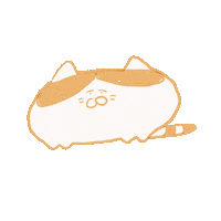 annannnn33 cat what orange oh Sticker