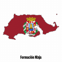 Flag Spain GIF by Formación Ninja