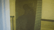Damn Bean GIF by John-Robert