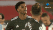 Premier League Football GIF by MolaTV