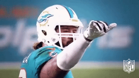 Miami Dolphins Football GIF by NFL