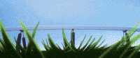 Umamusume Uma GIF