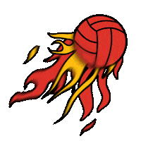 Meteor Sticker by Netball Singapore
