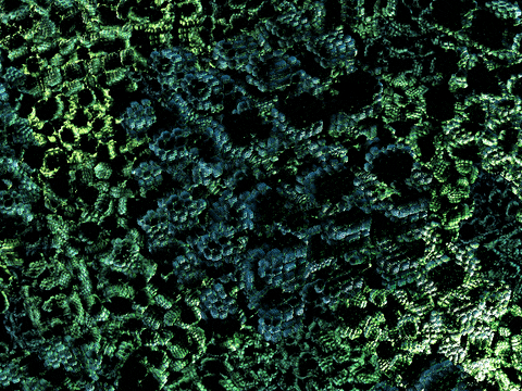GIF by LATS