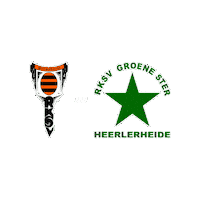 Sport Heerlen Sticker by Groene ster
