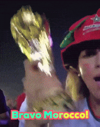 Champions Morocco GIF