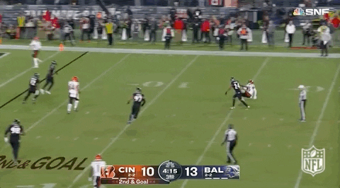 Baltimore Ravens Football GIF by NFL