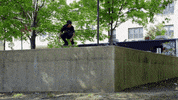 skateboarding we are blood GIF by EchoBoom Sports